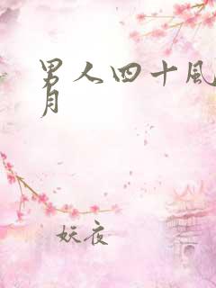 男人四十风花雪月