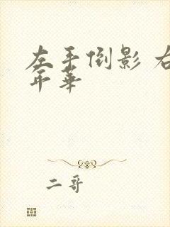 左手倒影 右手年华