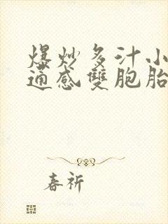 爆炒多汁小美人通感双胞胎燎锋