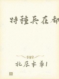 特种兵在都市
