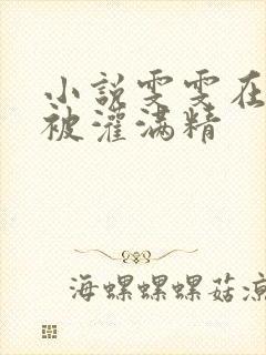 小说雯雯在工地被灌满精