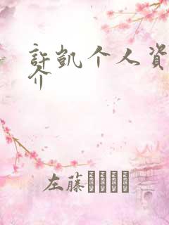 许凯个人资料简介