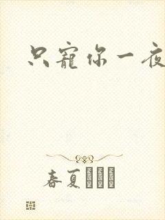 只宠你一夜