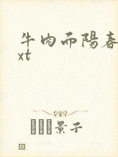 牛肉面阳春面txt
