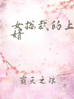 女总裁的上门女婿