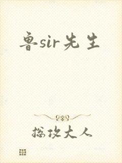 鲁sir先生