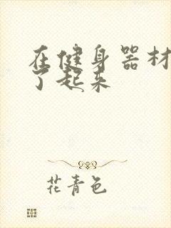 在健身器材上做了起来