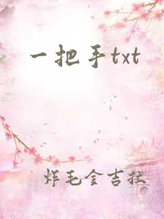 一把手txt