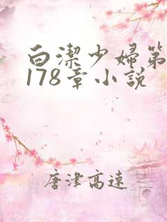 白洁少妇第1一178章小说
