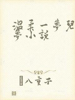 温柔一梦儿媳林梦小说