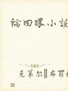 轮回眼小说
