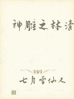 神雕之林清传