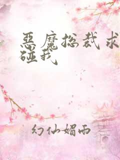 恶魔总裁求你别碰我