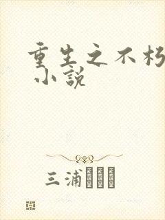 重生之不朽传奇 小说