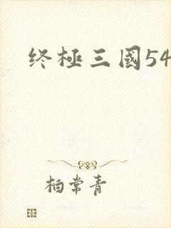 终极三国54