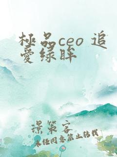 极品ceo 追爱绿眸
