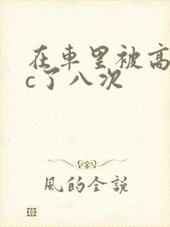 在车里被高潮被c了八次