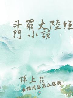 斗罗大陆绝世唐门 小说