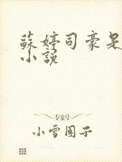 苏婷司豪是什么小说