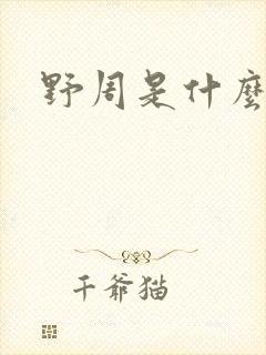 野周是什么意思