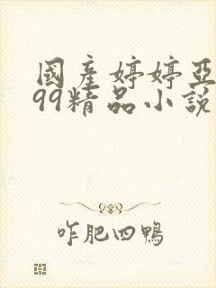 国产婷婷亚洲999精品小说