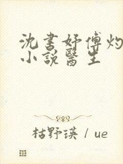 沈书妤傅灼抖音小说医生