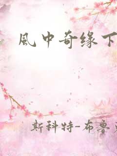 风中奇缘下载