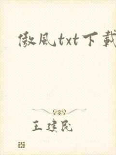 傲风txt下载