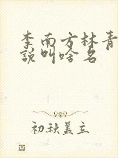 李南方林青青小说叫啥名