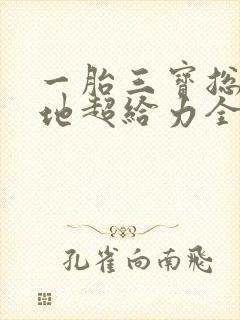 一胎三宝总裁爹地超给力全文免费阅读