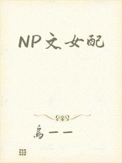NP文女配