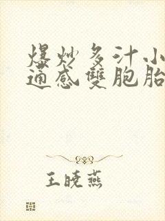 爆炒多汁小美人通感双胞胎