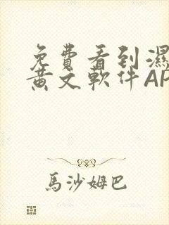 免费看到湿的小黄文软件APP