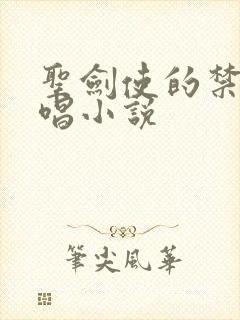 圣剑使的禁咒咏唱小说