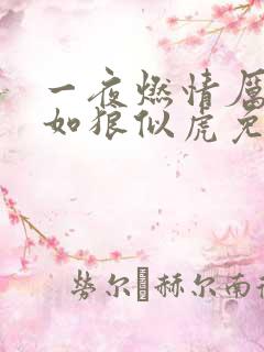 一夜燃情厉先生如狼似虎免费阅读动漫
