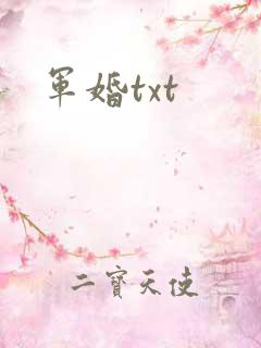 军婚txt
