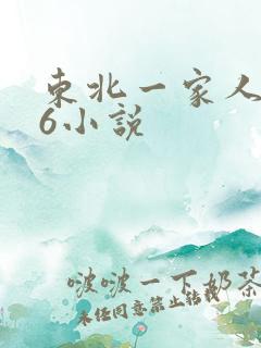 东北一家人1一6小说