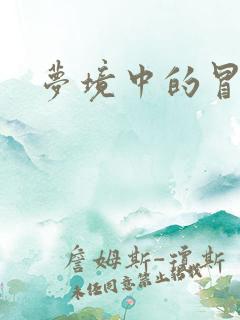 梦境中的冒险家