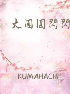 大团圆闪闪发光