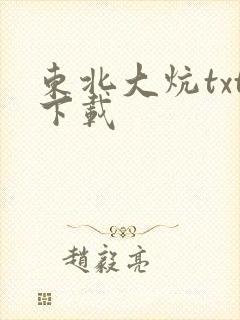 东北大炕txt下载