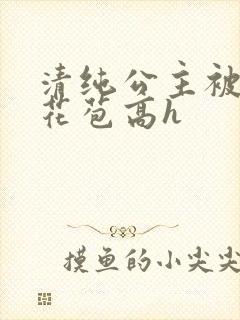 清纯公主被迫开花苞高h