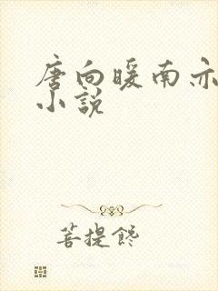 唐向暖南亦琛的小说