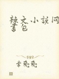 辣文小说网第二书包