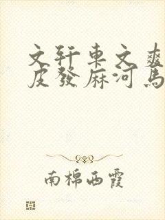 文轩车文爽到头皮发麻河马的秘密河