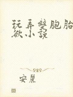 玩弄双胞胎的肉欲小说