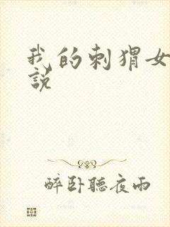 我的刺猬女孩小说