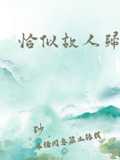 恰似故人归小说