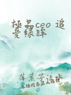 极品ceo 追爱绿眸
