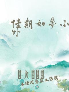 佳期如梦小说番外