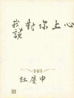 我对你上心了小说